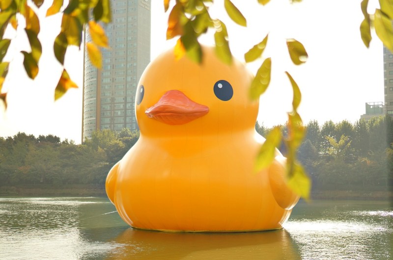 rubber-duck-546253_1280